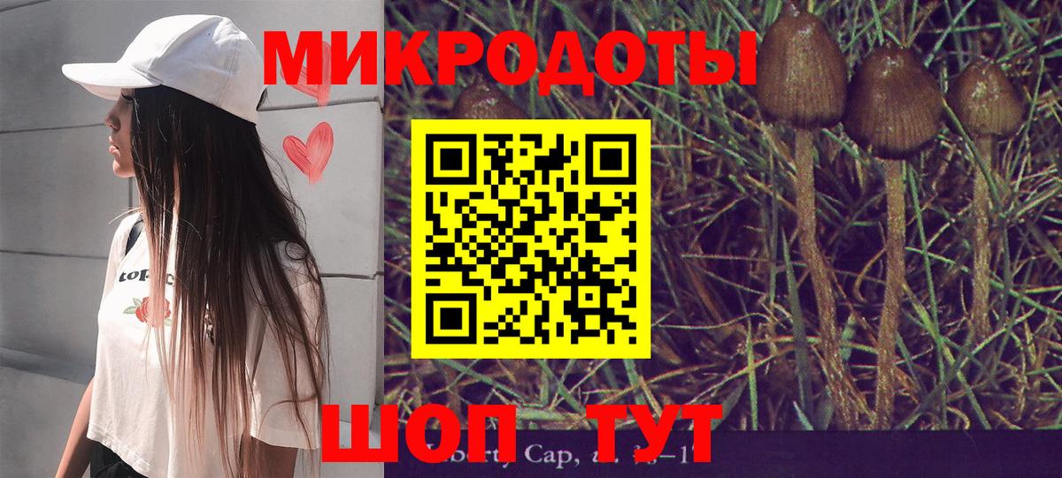Шуя  купить закладку  Вход с VPN  Псилоцибиновые грибы GOLDEN TEACHER 
