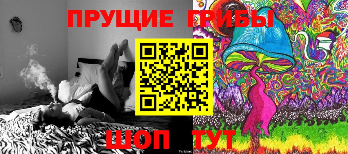 Псилоцибиновые грибы мицелий Шуя